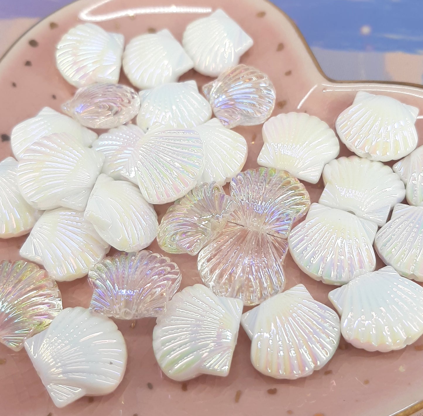 SEA SHELL BEADS